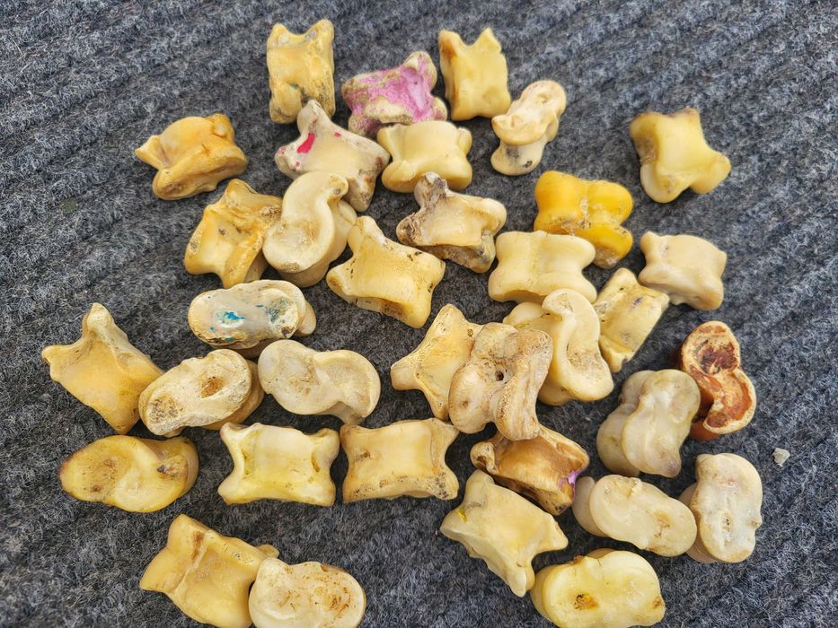 Асық сатылады 10шт =2000