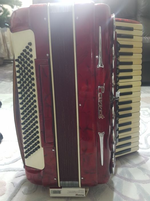 Acordeon parrot in perfecta stare de functionare