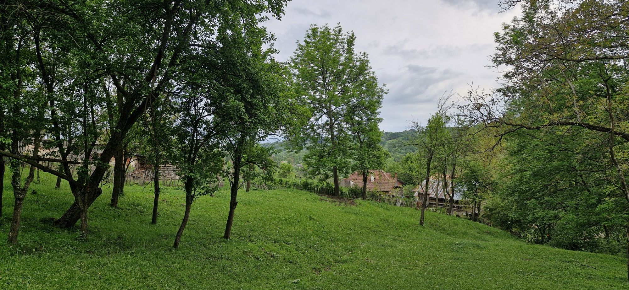 Teren la munte Intravilan 1600mp Arefu-Arges (Transfăgărășan) 17eur/mp