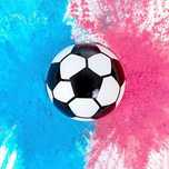 Minge Gender Reveal cu Pudra Colorata