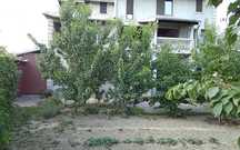 Vind sau schimb cu apartament in Ploiesti casă P+1 în Măgurele