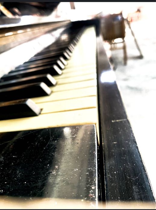 Pianino Oktava sotiladi