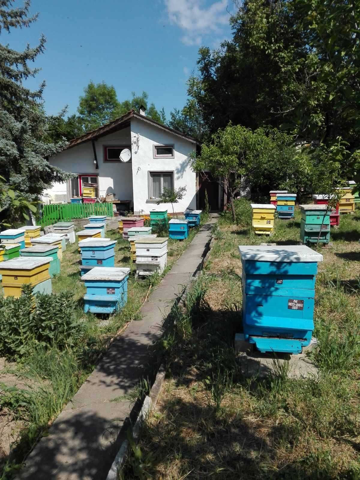 Продавам вила в с. Ново Янково