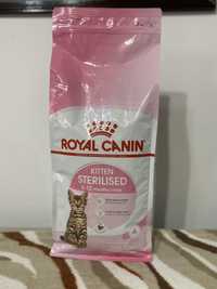 Hrana uscata pisici Royal Canin
