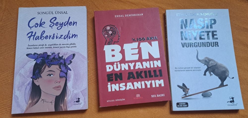 Turk tilidagi kitoblar sotiladi.
Türkçe kitaplar satılıktır.
Hepsi yen