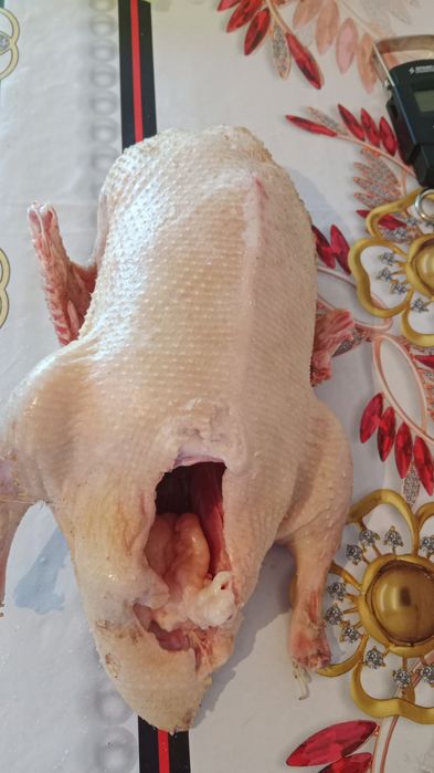 Бройлерные утки, жирные, от  2х и выше кг
