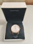 Ceas Calvin Klein, Established