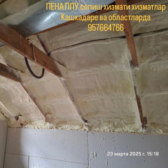 Pena (PPU) sepib beramiz ( penapoliuritan)