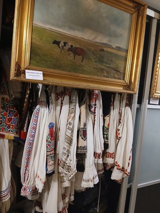 Vand colecție costume nationale