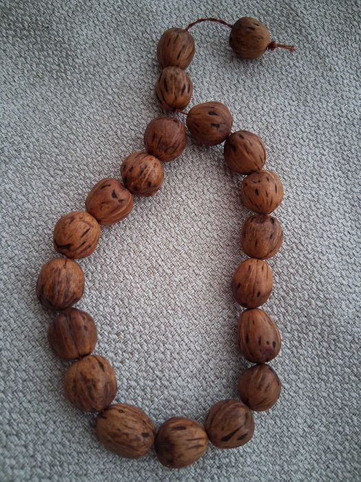 Бровница Дълголетие