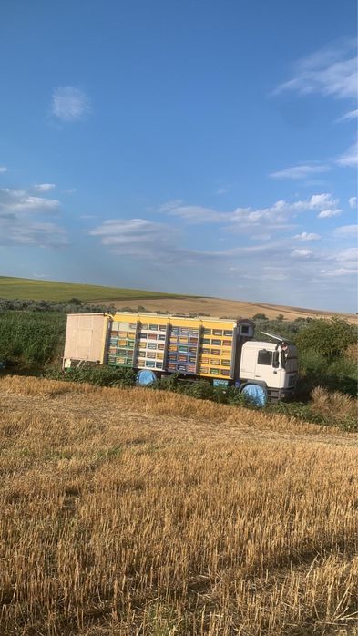 Camion Apicol MAN 14,5 T