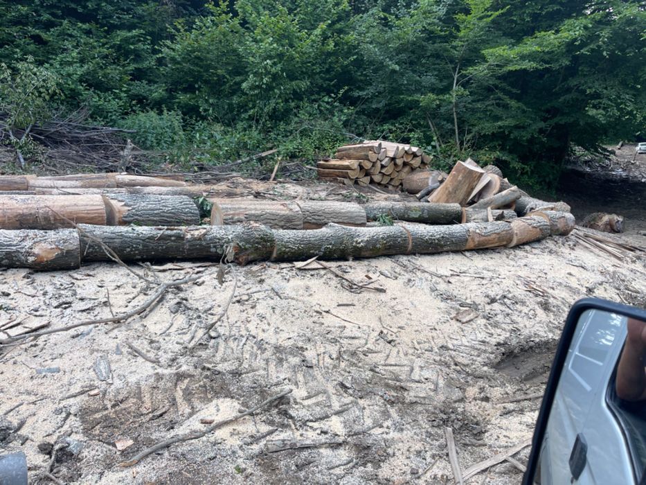 Vând lemne transport inclus!!!