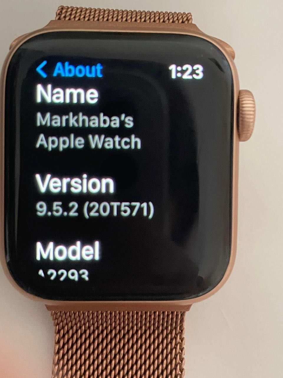 Apple watsh часы 9.5.2 модель A2293