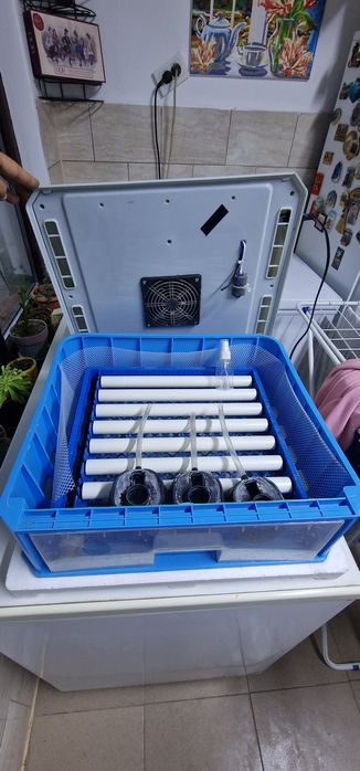 Инкобатор за яйца