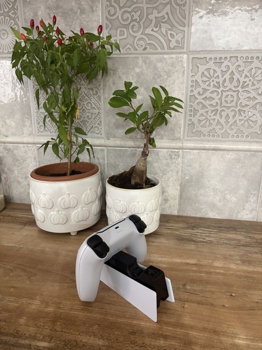 PlayStation 5 – PS5 Disc Edition