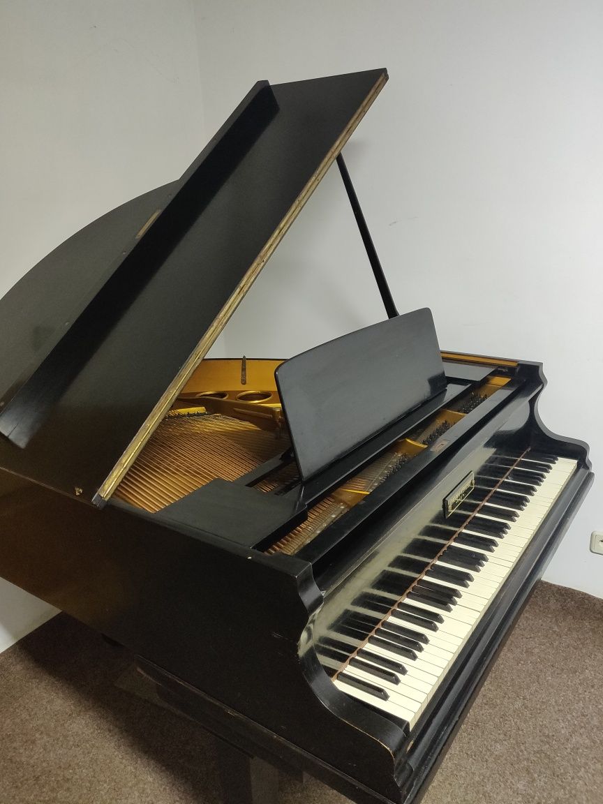 Pian Chopin Konzert Wein 1910