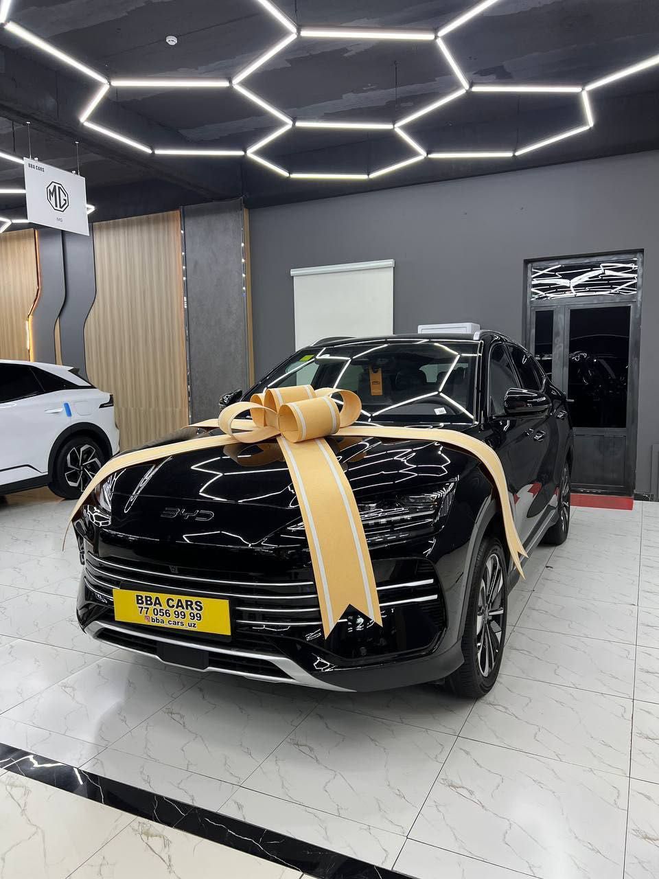 BYD Chempion 605 talik