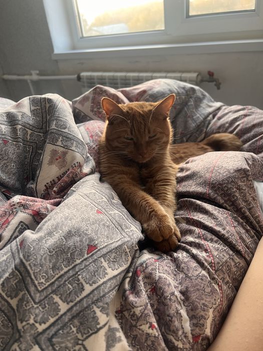 Одам в хороший руки Муся девочка