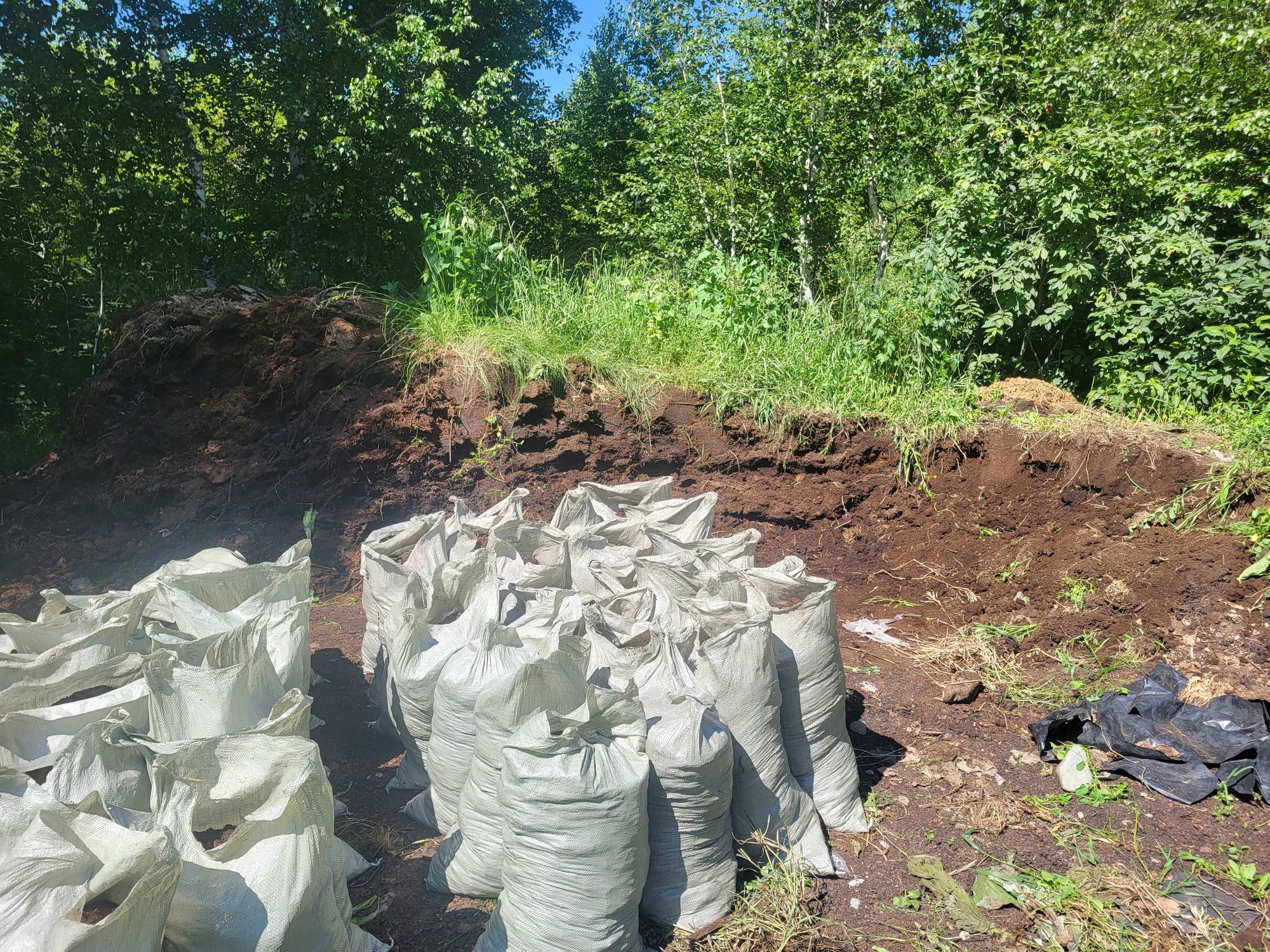 Чернозём ) в мешках