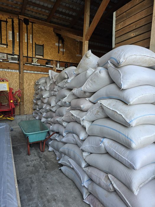 Vând floarea soarelui