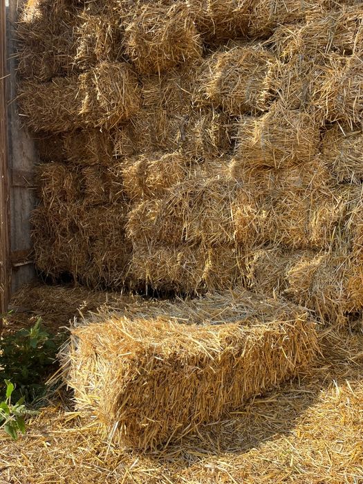 Baloti de paie  de vanzare