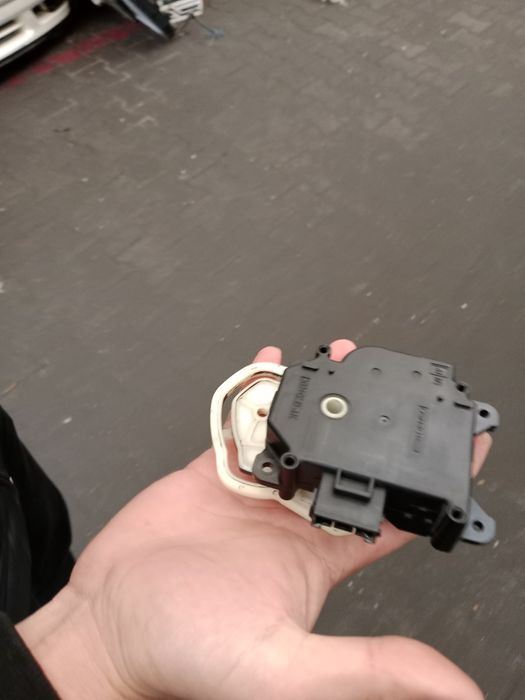 Срочна продам домашные цветы