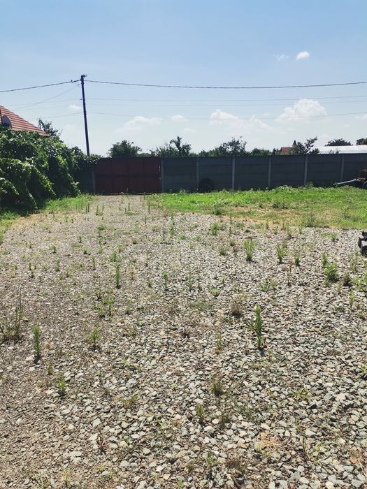 Vînd teren intravilan în localitatea Albina .