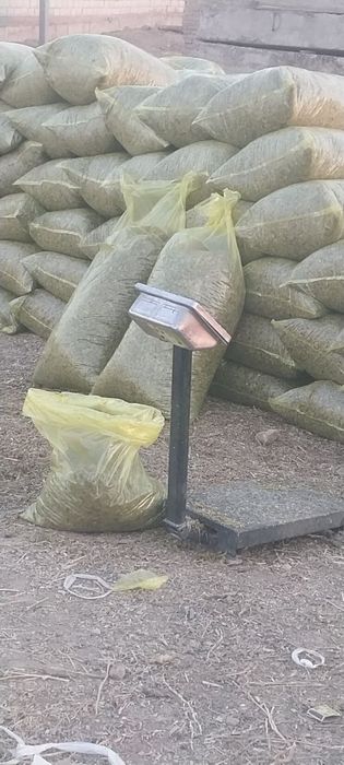 Selos Sotiladi 20 kiloli