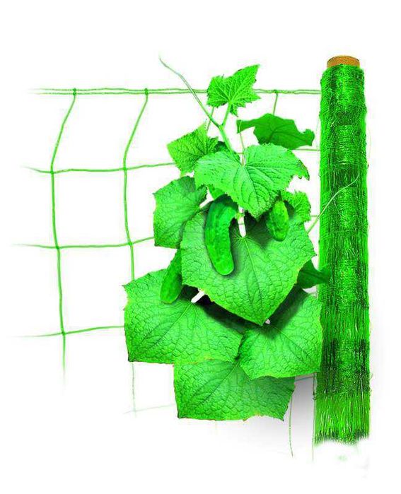 Plasa pentru castraveti si alte plante cataratoare. 1,7m