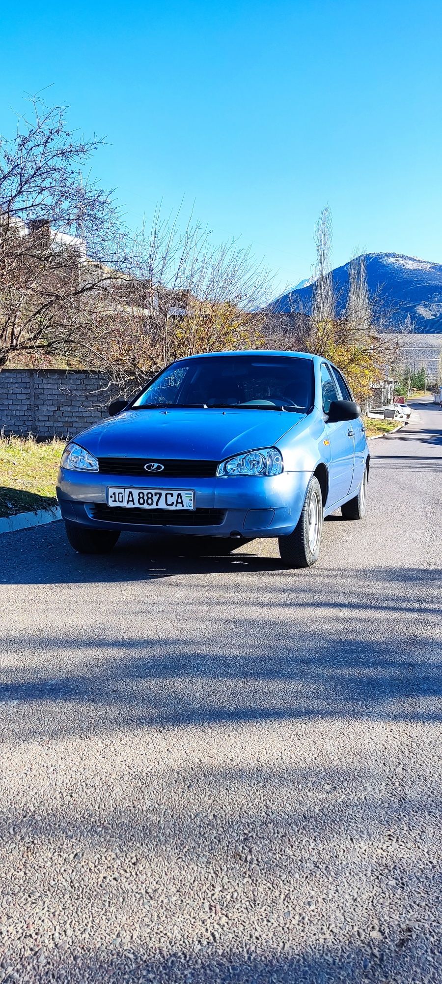 Lada kalina v xoroshom sostoyanie