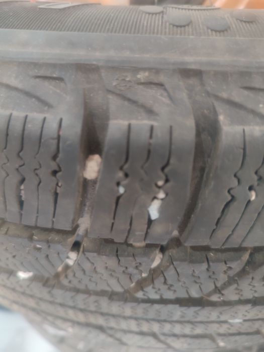 Автошиналар  донгалактар