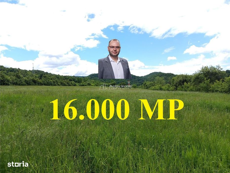 Borlovenii Noi, Teren Drept, 16000mp, la Limita Localitatii