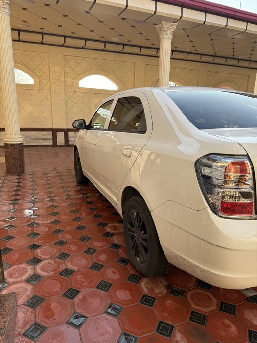 Cobalt 2025/2026 Midnight