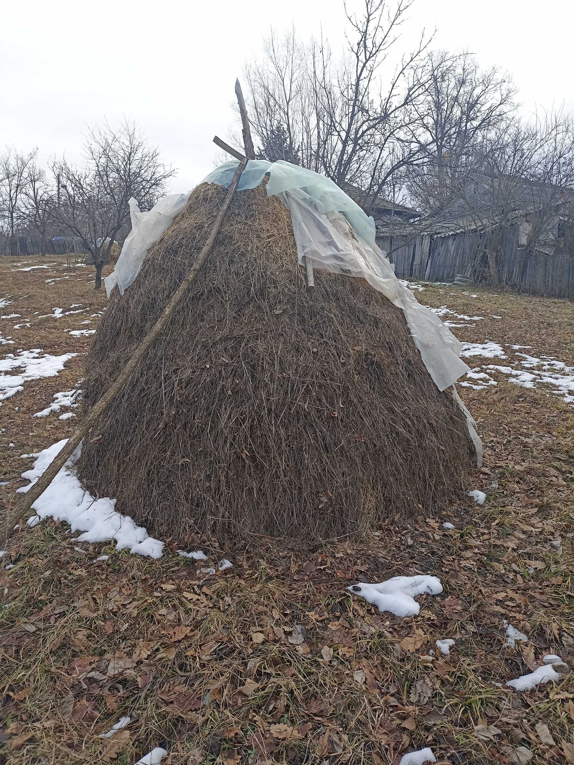 Fan de Vânzare Sat Berevoiesti.Oras  Fieni Jud Dambovita