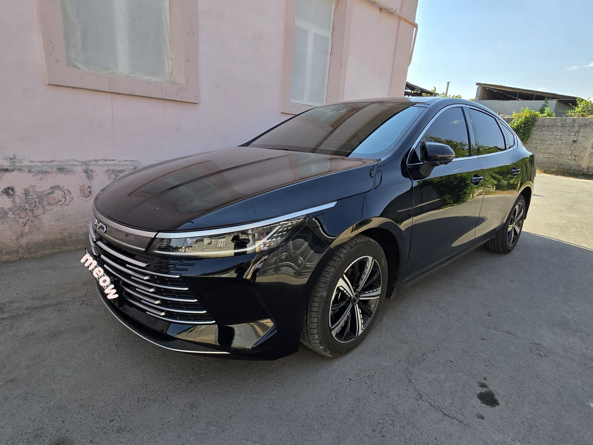 BYD Chazor FULL. 2023г