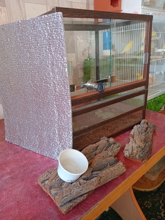 Террариум стеклянный.