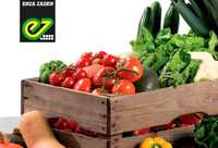 Семена овощей и средства защиты растений