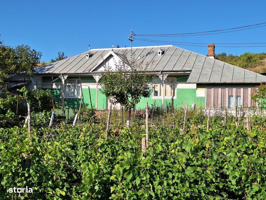 Proprietate in  Valeni, Padureni,  Vaslui,  cu casa, gradina si curte