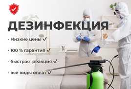 Дезинцекция г Тараз
