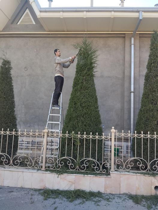 Archa kesish va gazon ekish lanshaft 20000 mingdan boshlab