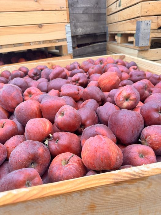 Vand mere calitatea 1