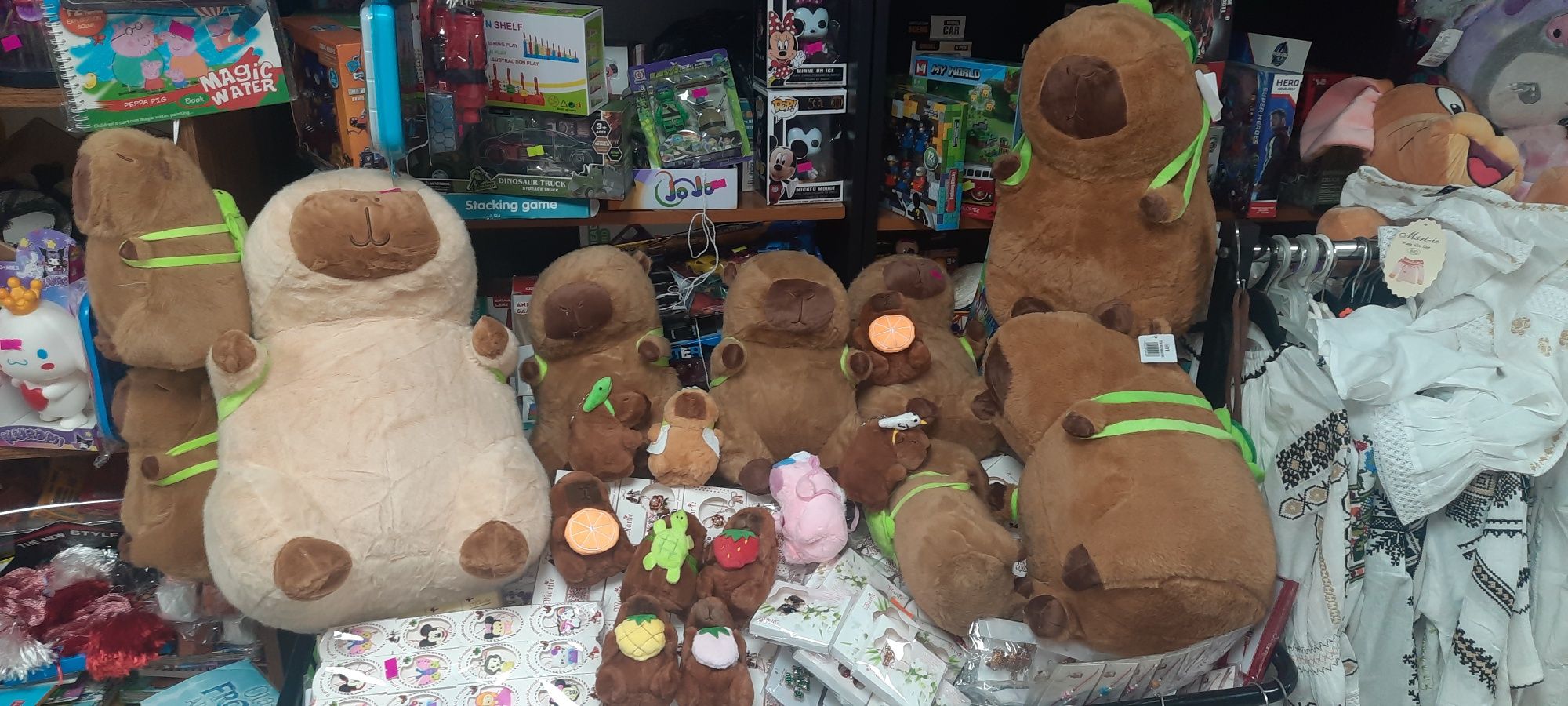 Capibara  . Timisoara . Ieftin . Multe marimi