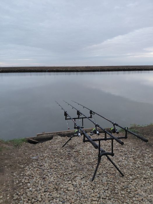 Lansete crap 3.6m urgent!