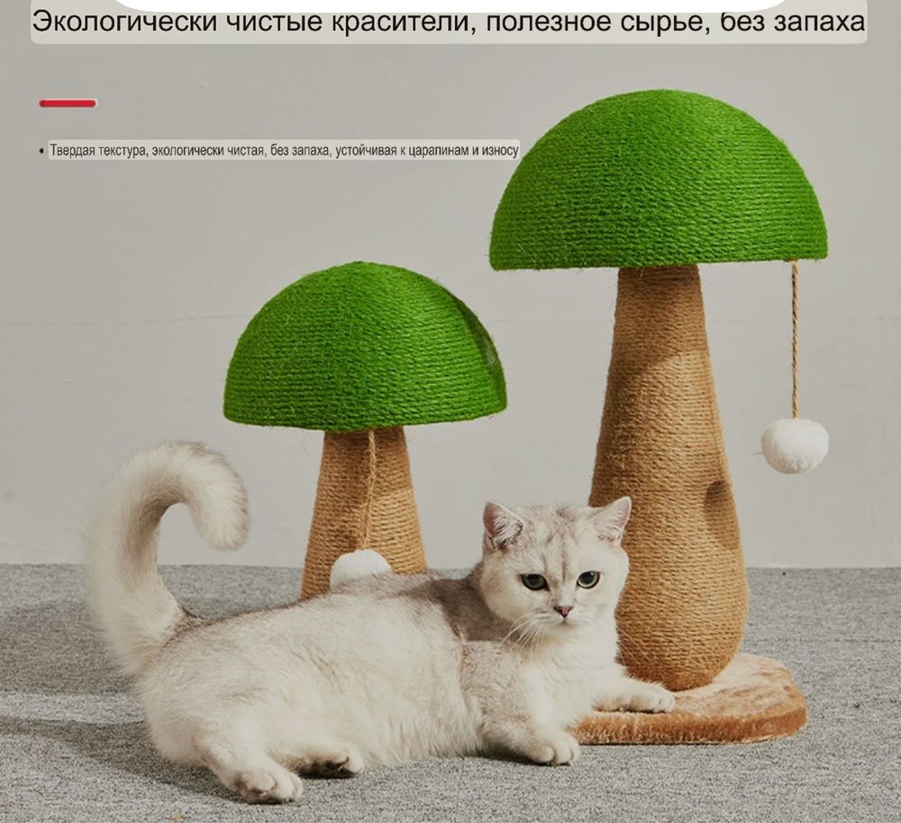 Когтеточки для кошек