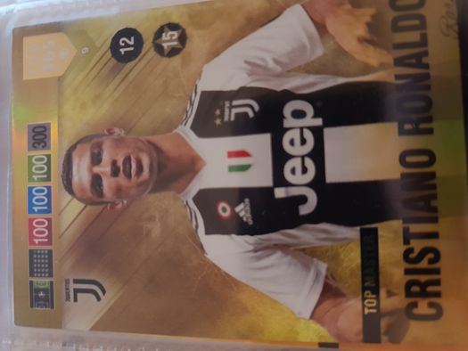 Panini FIFA 2019 Adrenalyn FULL