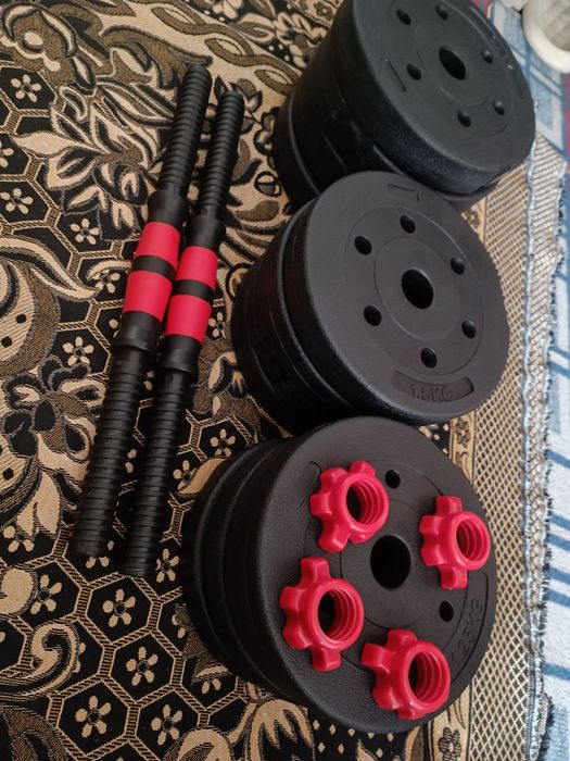 Gantel 24 kg 12x2