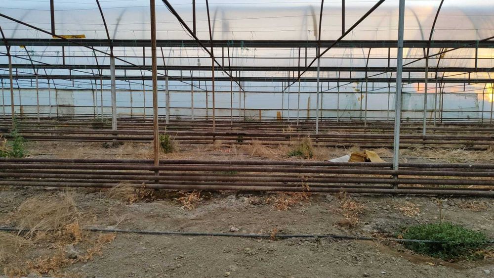 фазенду теплица 1гетар 20с частная собственность с газ вода свет кана