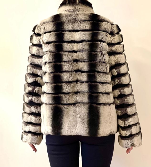 Blana Rex Chinchilla