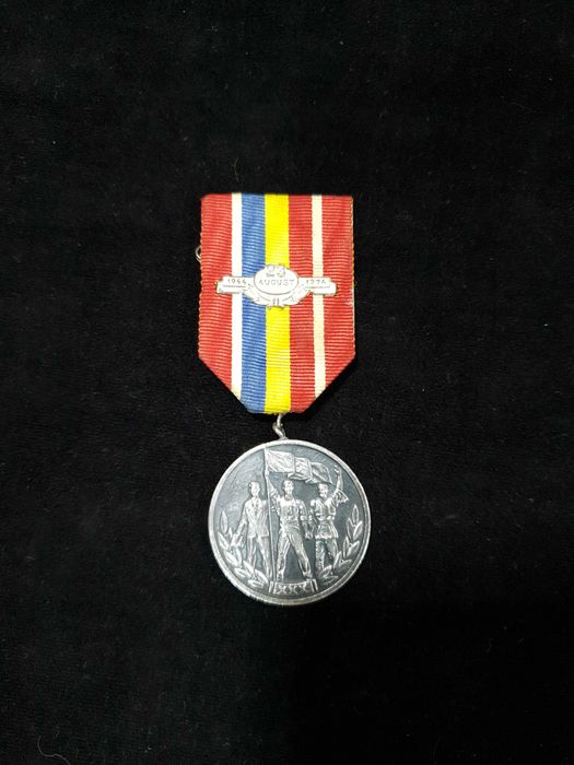 Lot medalii comemorative comunism