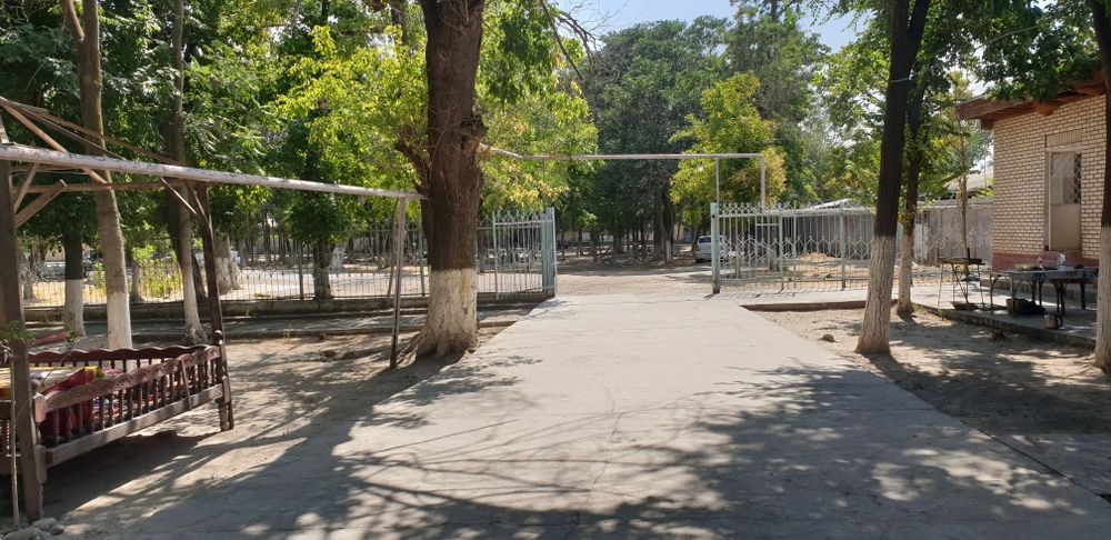 Чиноз Центрида 63 сотих Чойхона